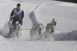 Kandersteg 2013